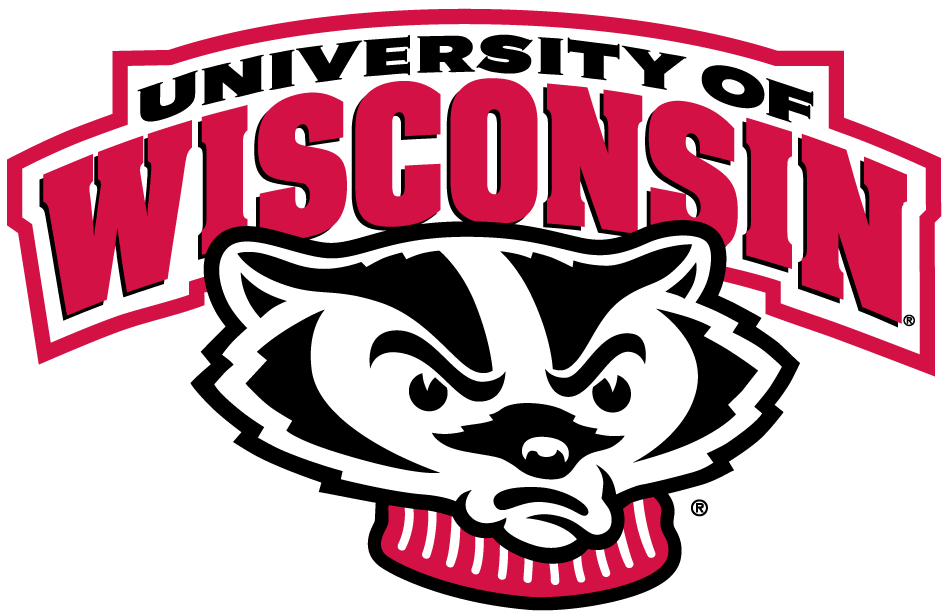 Wisconsin Badgers 2002-Pres Alternate Logo iron on transfers for clothing...